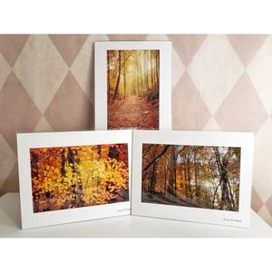 Autumn / Fall Photography Prints
